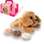 CUCCIOLO GOLDEN RETRIEVER MAMMY SURPRISE DOG CON TRASPORTINO E CUCCIOLINI SBB 644520