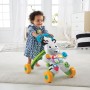 ZEBRA PRIMI PASSI INTERATTIVA FISHER PRICE DLD91 (ITA)