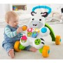 ZEBRA PRIMI PASSI INTERATTIVA FISHER PRICE DLD91 (ITA)