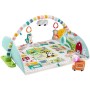 PALESTRINA ATTIVITÀ GIGANTE DELLA CITTY 2 IN 1 FISHER PRICE GJD41