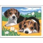 CREART SERIE D - CUCCIOLI DI JACK RUSSEL RAVENSBUGER 289394